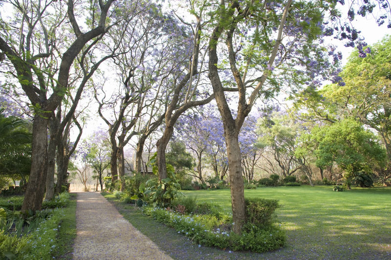 Nesbitt Castle Otel Bulawayo Dış mekan fotoğraf